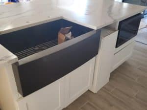 960ffd19 f673 478d b296 48988dc997e7